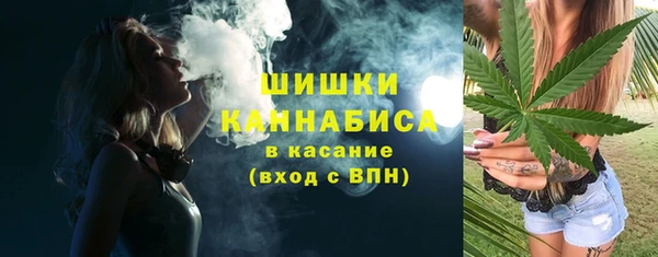 ешки Бронницы