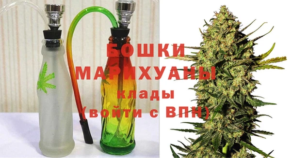 ешки Бронницы