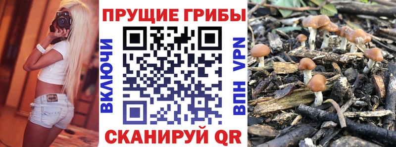 Галлюциногенные грибы прущие грибы  Видное 